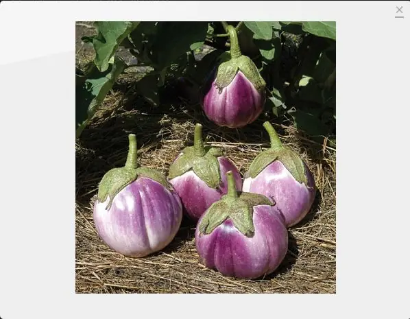 Encontra las verduras raras que buscas parte 2