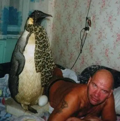fotos