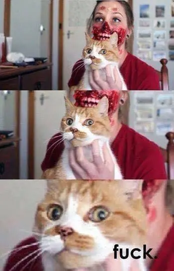 Bizzarro