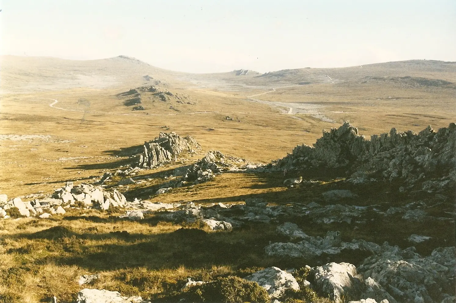 Esparta