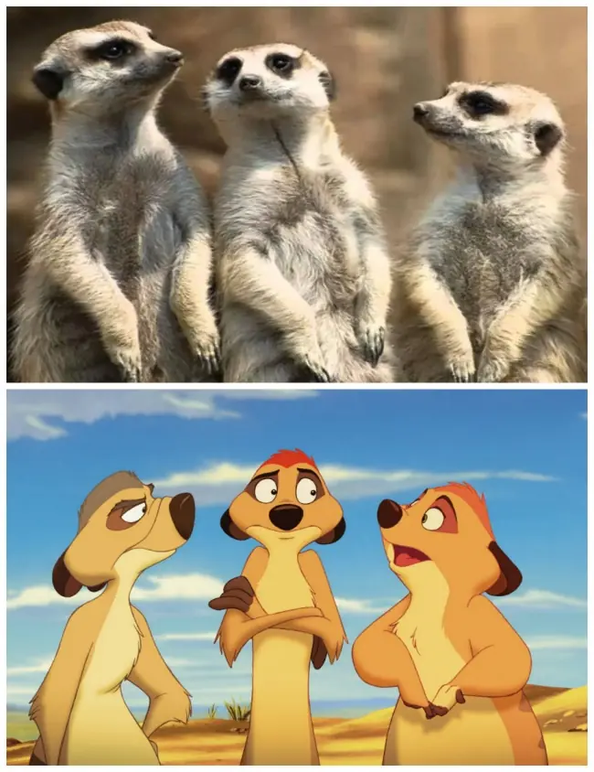 dibujos disney dibujos disney