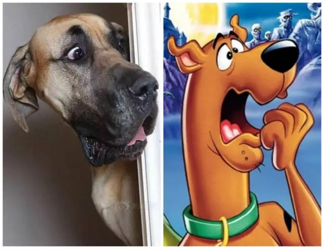 Diversion DIsney Diversion DIsney