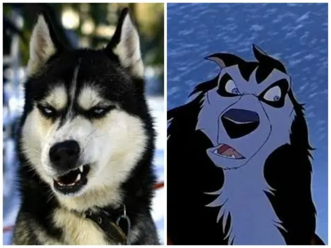 Animales igual que en películas animadas