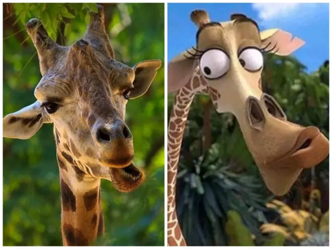 Personajes Disney Reales Personajes Disney Reales