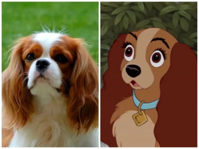 Personajes Disney Reales Personajes Disney Reales