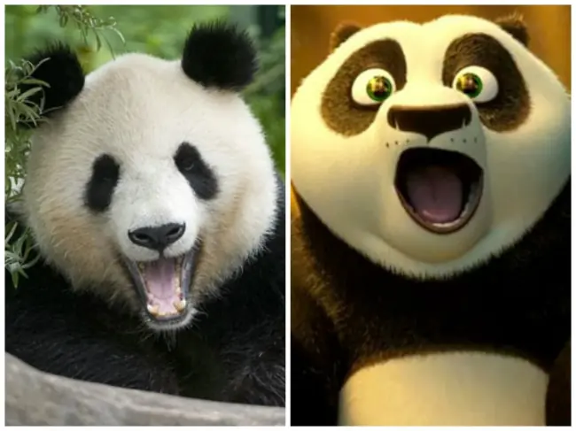 Animales igual que en películas animadas Animales igual que en películas animadas
