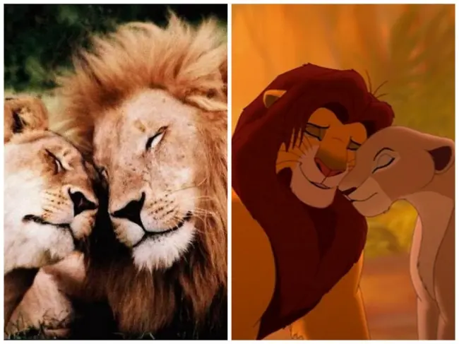 disney disney
