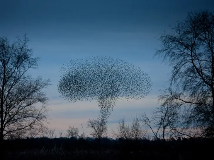 Fenómenos naturales no creerás que pasan en nuestro planeta!