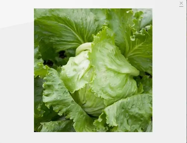 Encontra las verduras raras que buscas parte 2