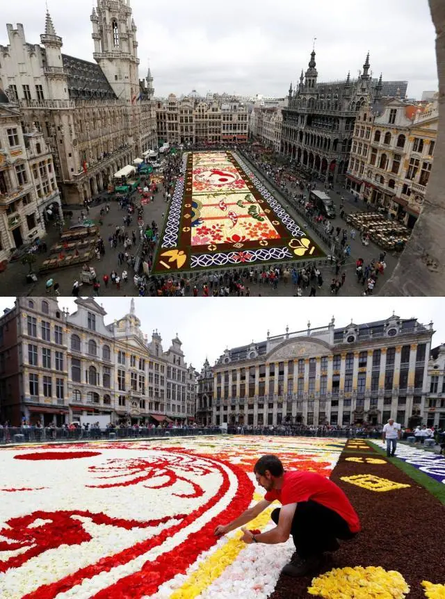 imagenes curiosas