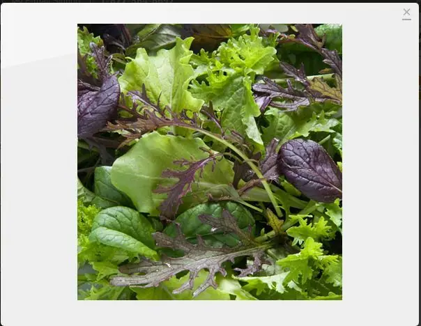 Encontra las verduras raras que buscas parte 2
