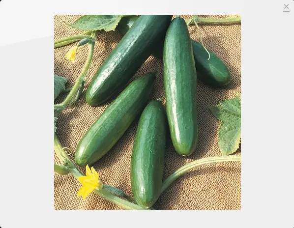Encontra las verduras raras que buscas parte 2