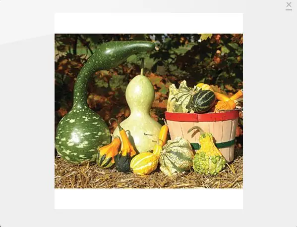 vegetales