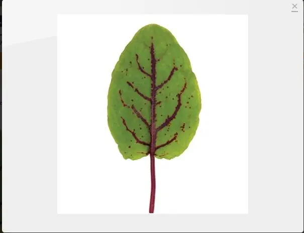 Encontra las verduras raras que buscas parte 2