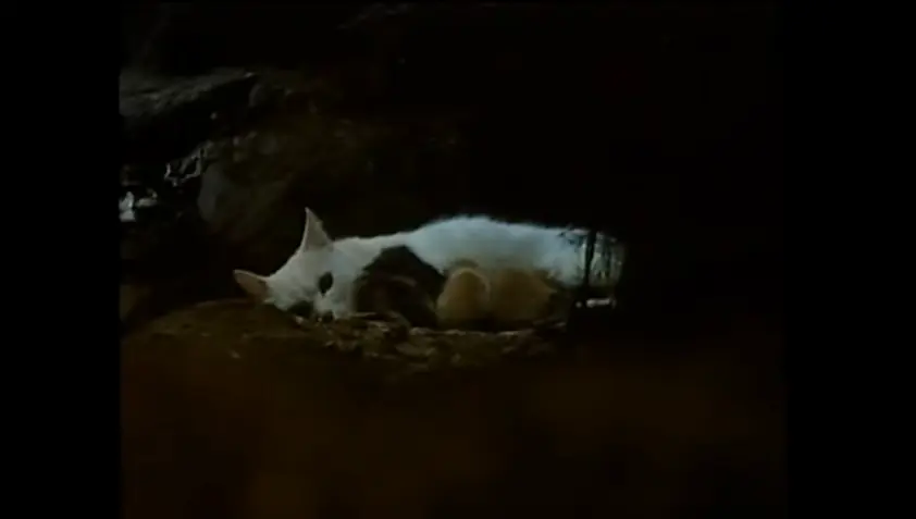 milo y otis