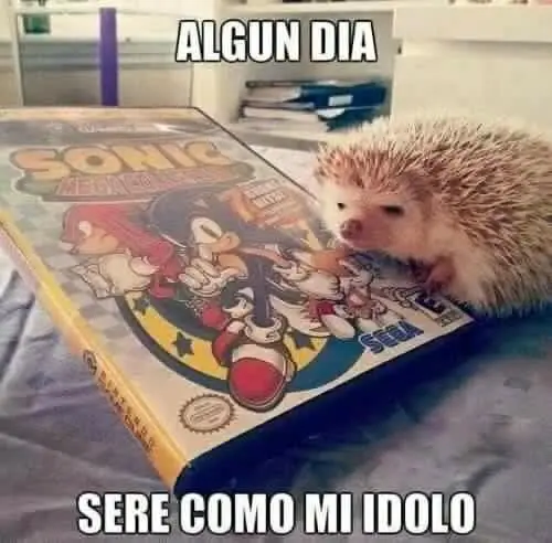 maquinola