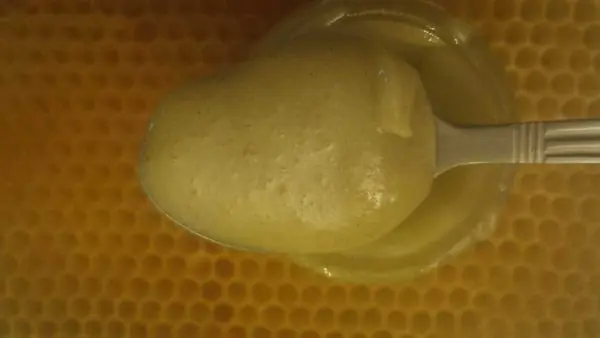 abejas