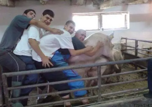 taringueros