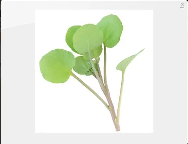 vegetales