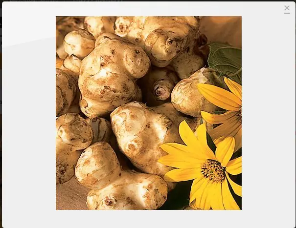 vegetales