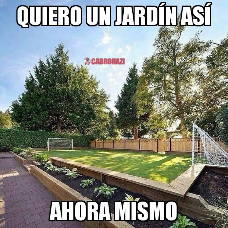 imagenes