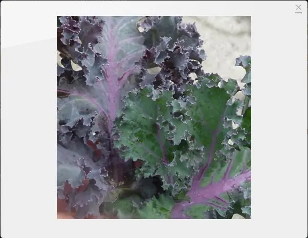 vegetales