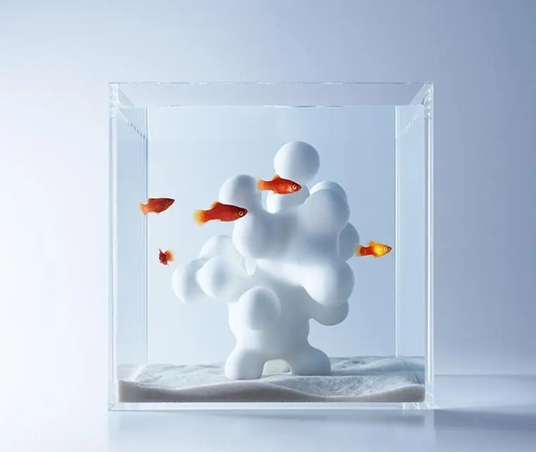 Modernos y Creativos Acuarios