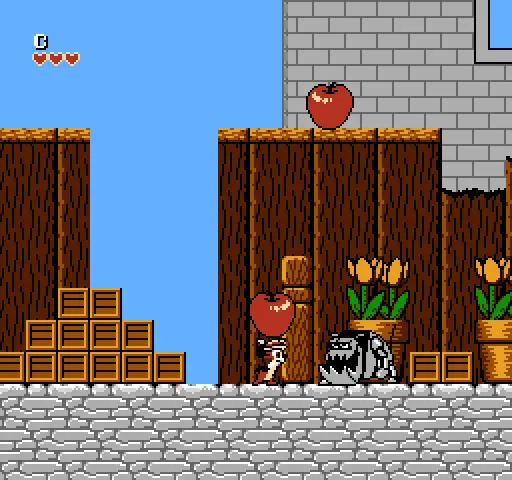nes nes