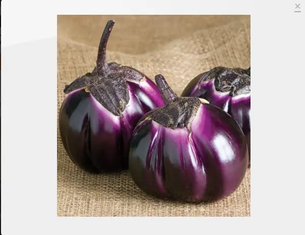 etnicos