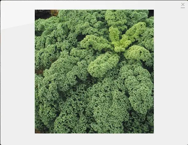 Encontra las verduras raras que buscas parte 2