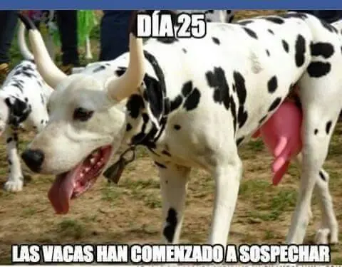 papu