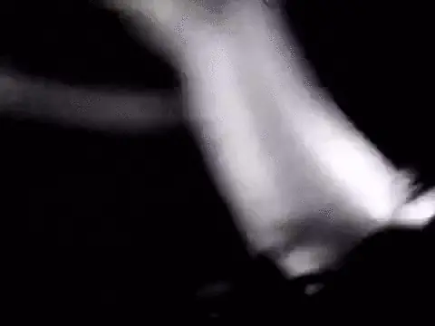 nirvana nirvana