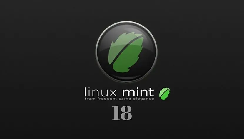 Linux Mint 173