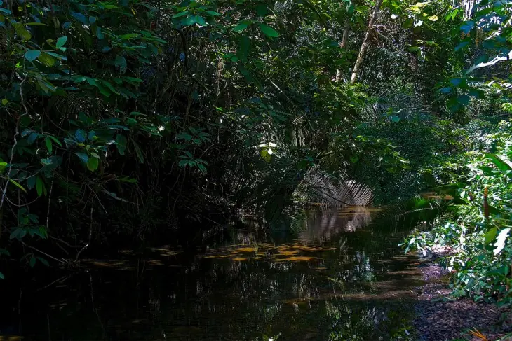 belice