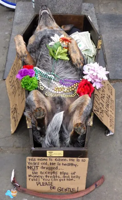 Muerte