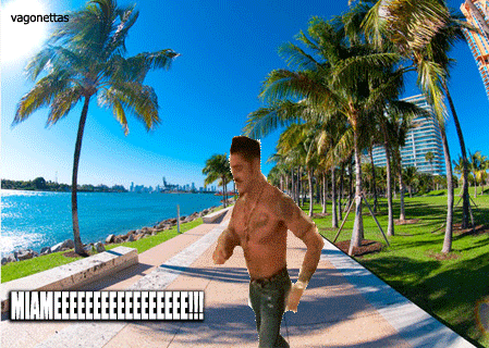 ricardo fort