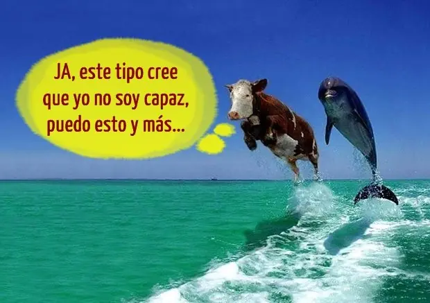 capitalismo