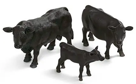 Vacas
