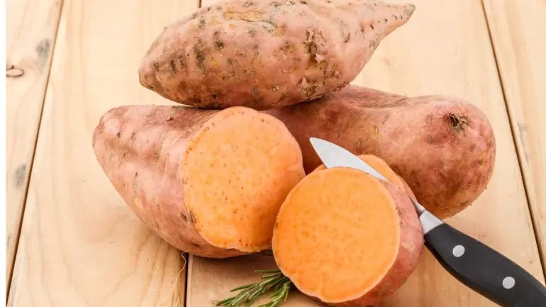 alimentos