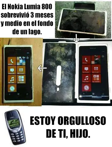Memes