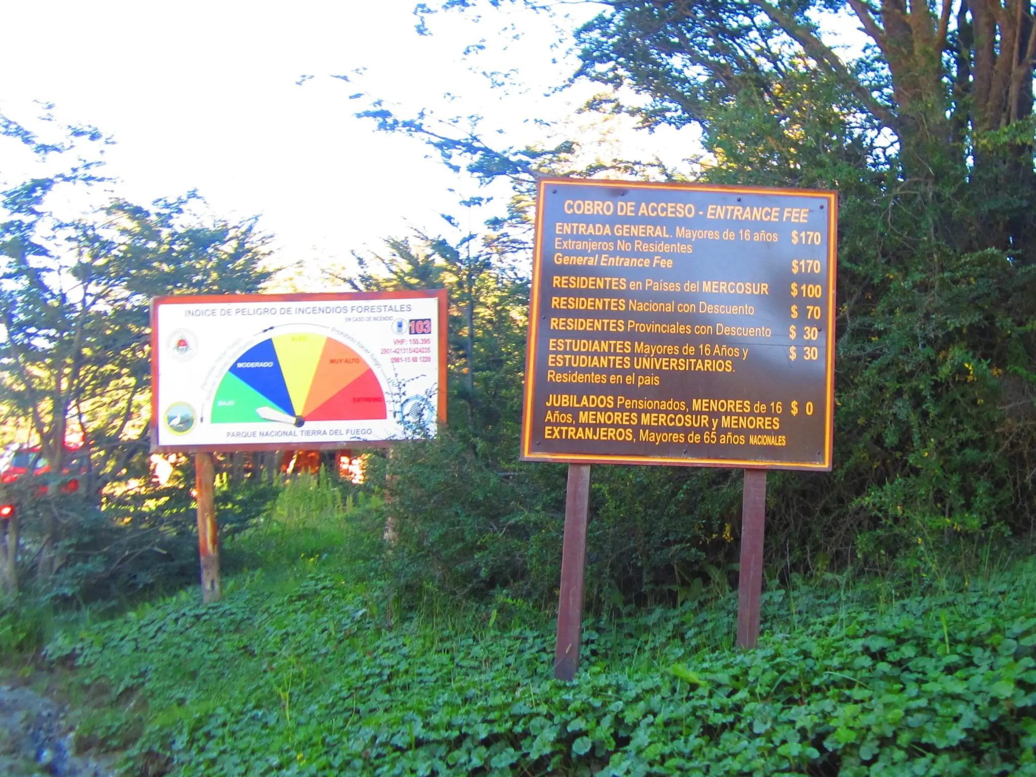 bosques