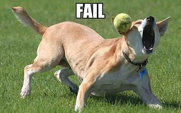 fotos en el momento exacto
