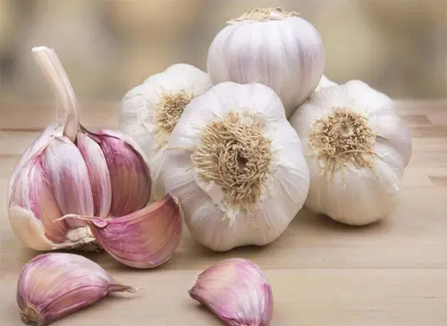 antibioticos naturales