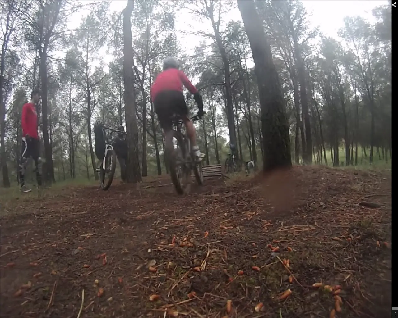 Freeride