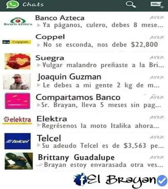 Animales