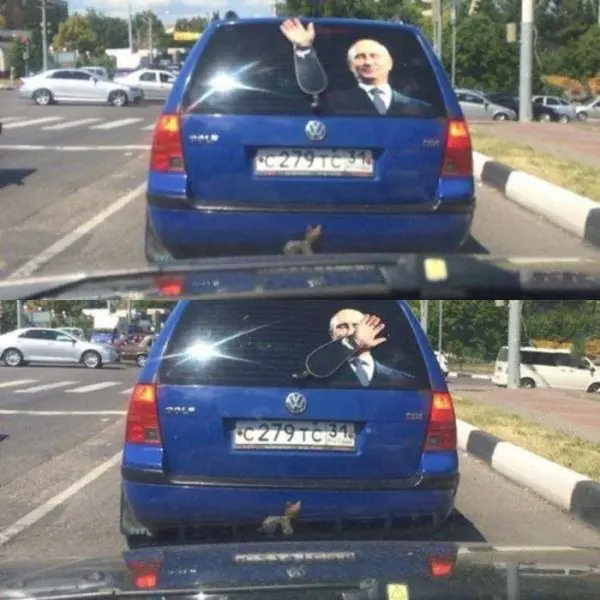 taringueros