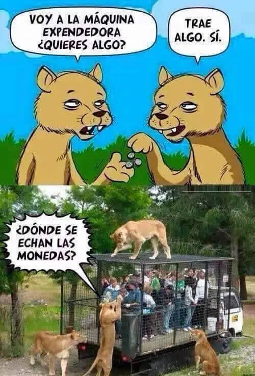 risasimagenes
