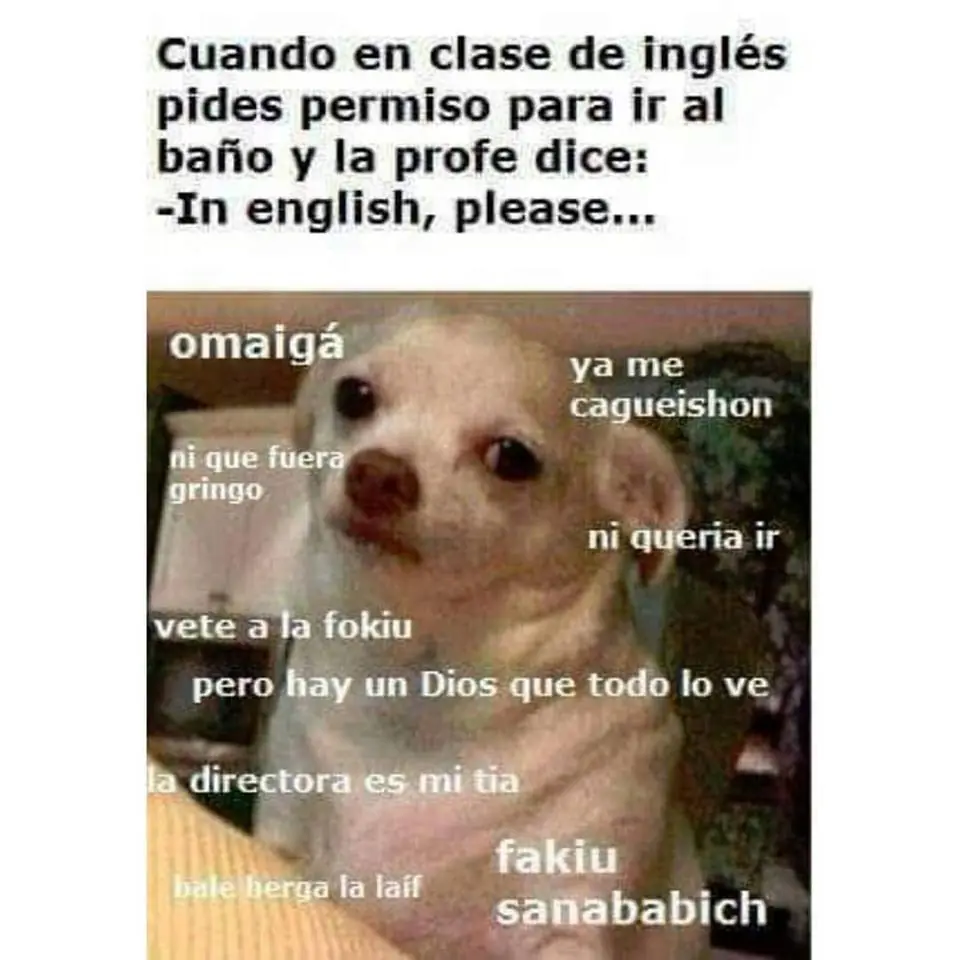 Típicas imágenes graciosas IV