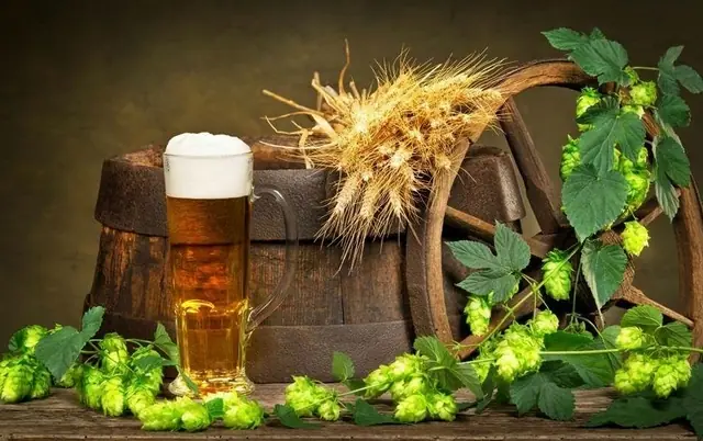 salud