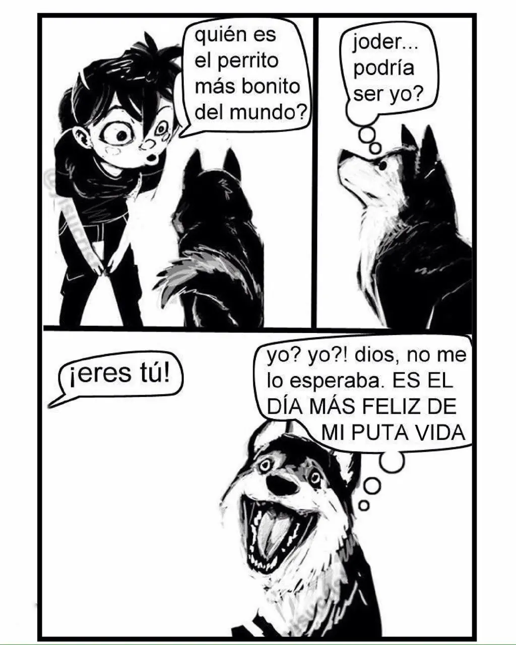 Imagenes graciosas
